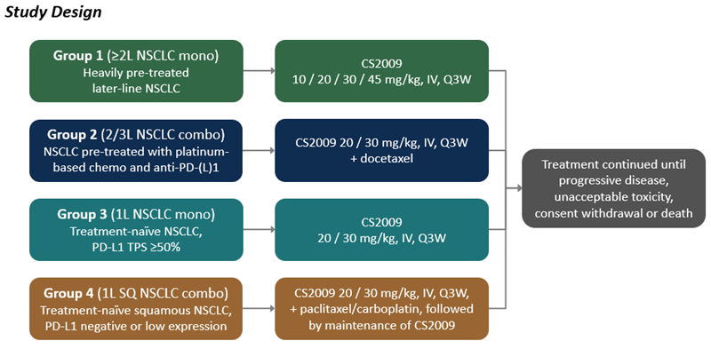 NSCLC-1