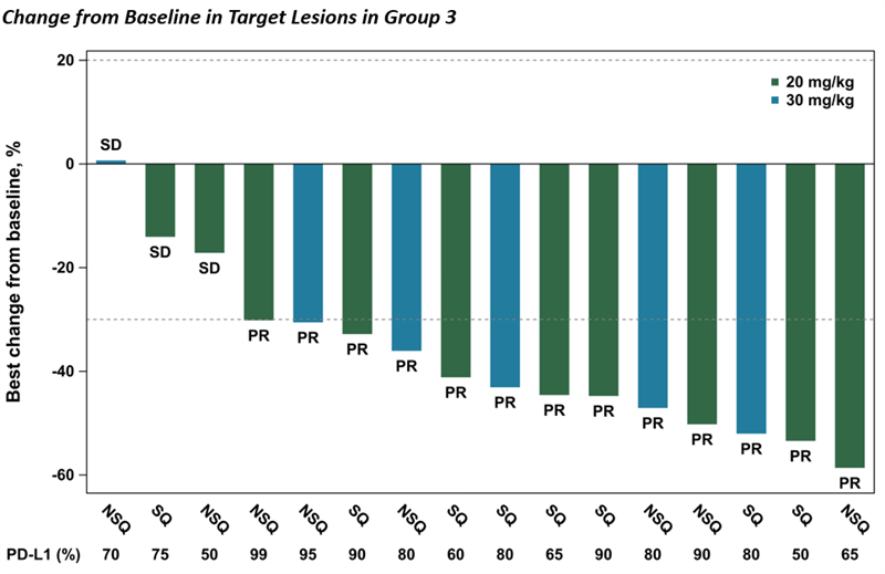 NSCLC-3